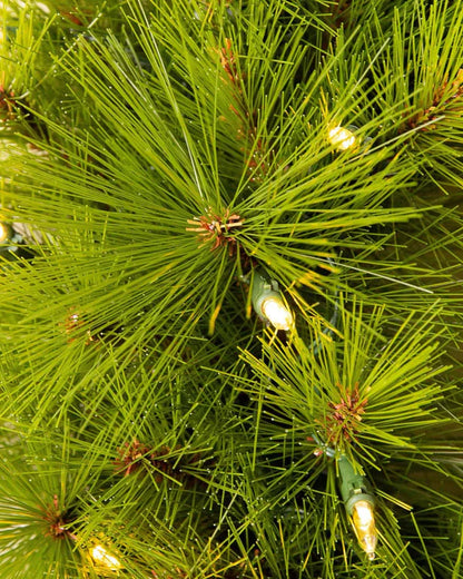 🎄Arbre de Noël MAGIQUE